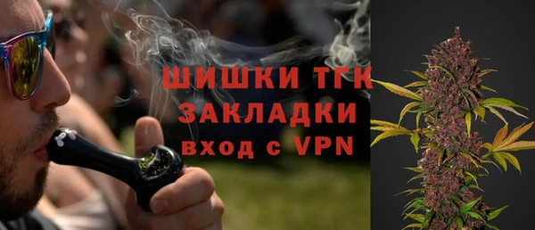 spice Новозыбков