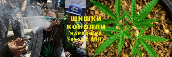 spice Новодвинск