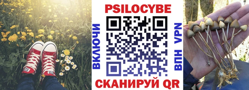 Галлюциногенные грибы мицелий Уржум